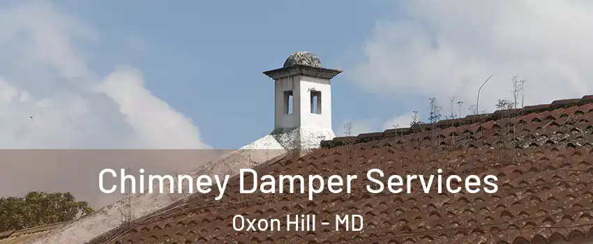  Chimney Damper Services Oxon Hill - MD