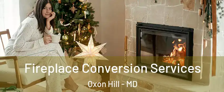  Fireplace Conversion Services Oxon Hill - MD