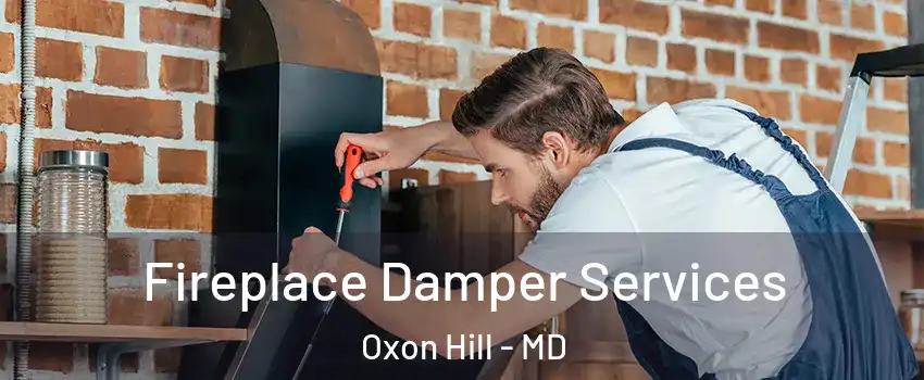  Fireplace Damper Services Oxon Hill - MD