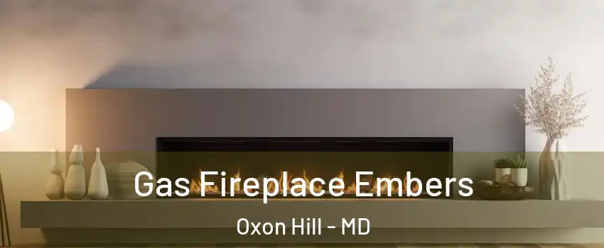  Gas Fireplace Embers Oxon Hill - MD