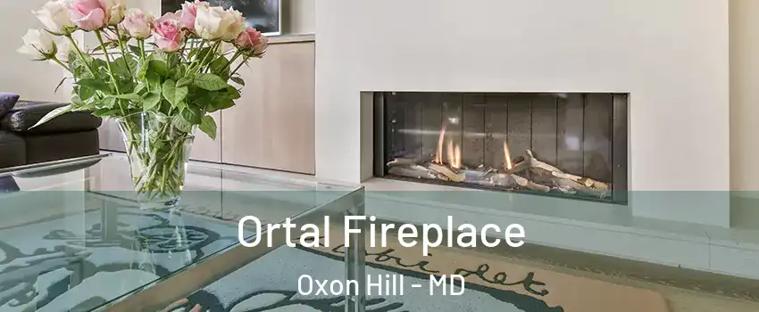  Ortal Fireplace Oxon Hill - MD